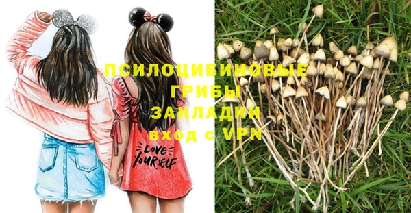 бошки Алексеевка