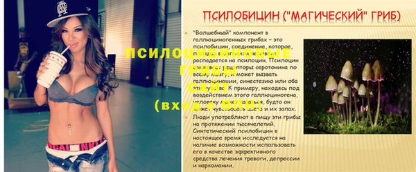 дживик Алзамай