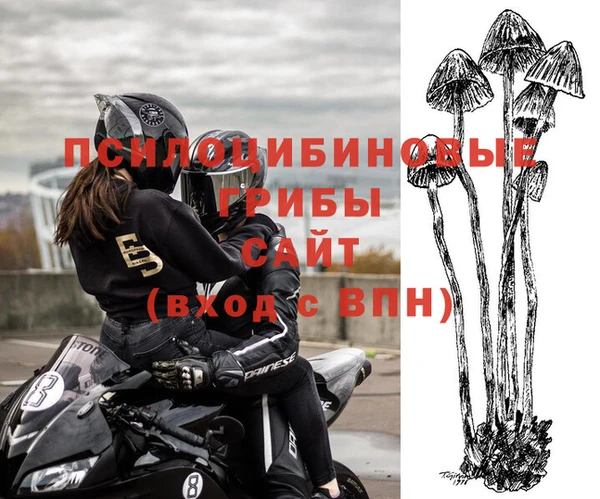 каннабис Алексин
