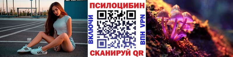Галлюциногенные грибы Cubensis  Петровск 